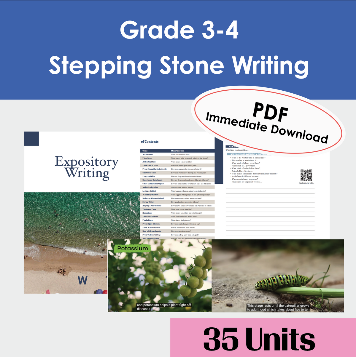 Stepping Stone Writing 35 Lessons